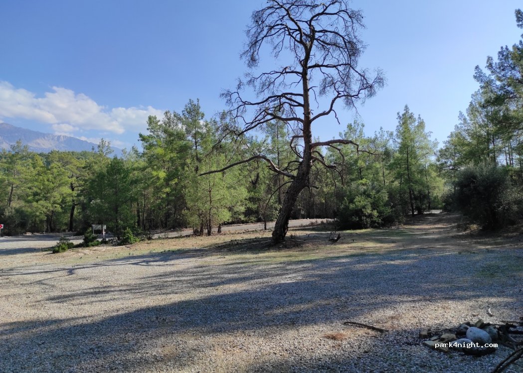 (07550) Karabük - — foto