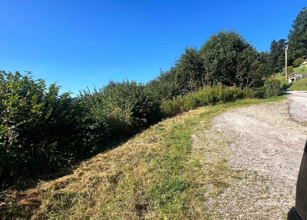 (88400) Gérardmer - 9 Chemin des Fourmis — foto 3