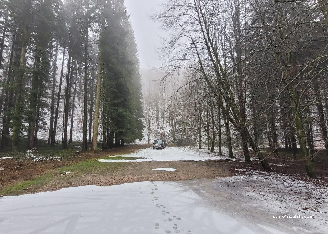 (33189) Schlangen - Lönspfad — foto