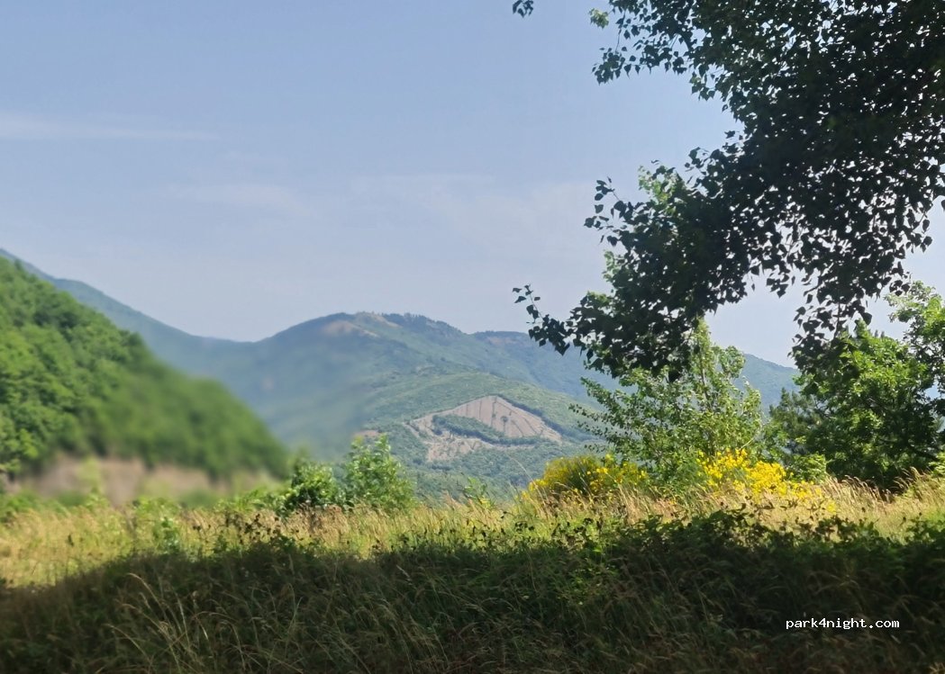 (30770) Alzon - — foto 2