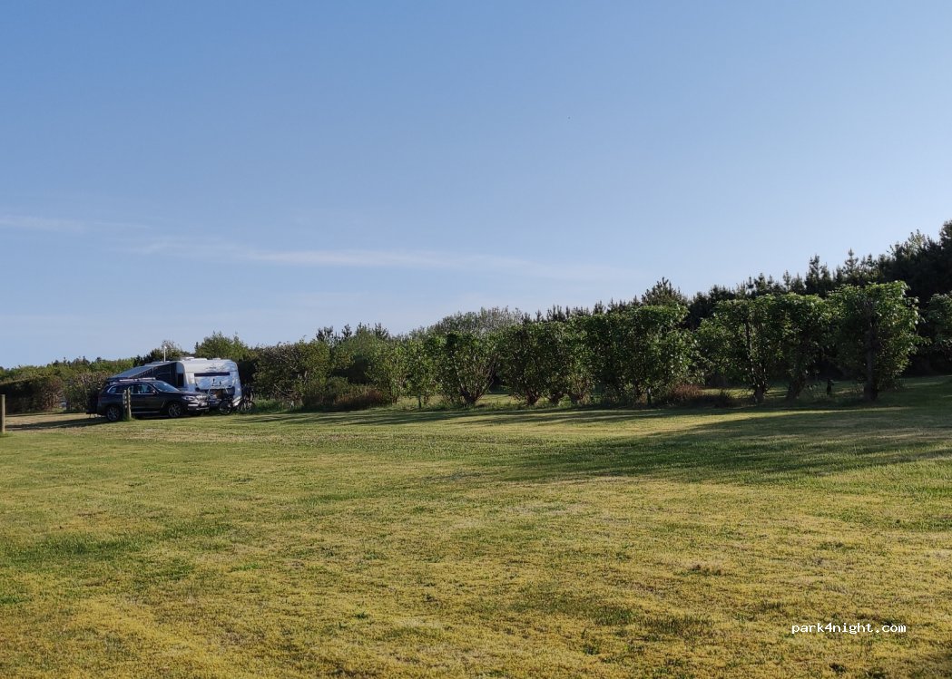 Skagen Camping — foto 2