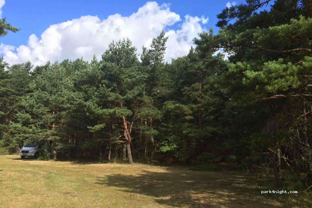 (624 67) Fårö - 699 — foto