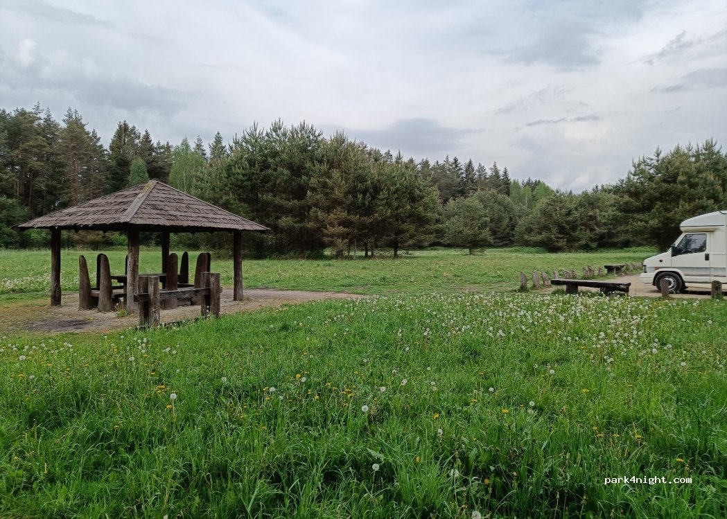 (86381) Svilė - — foto