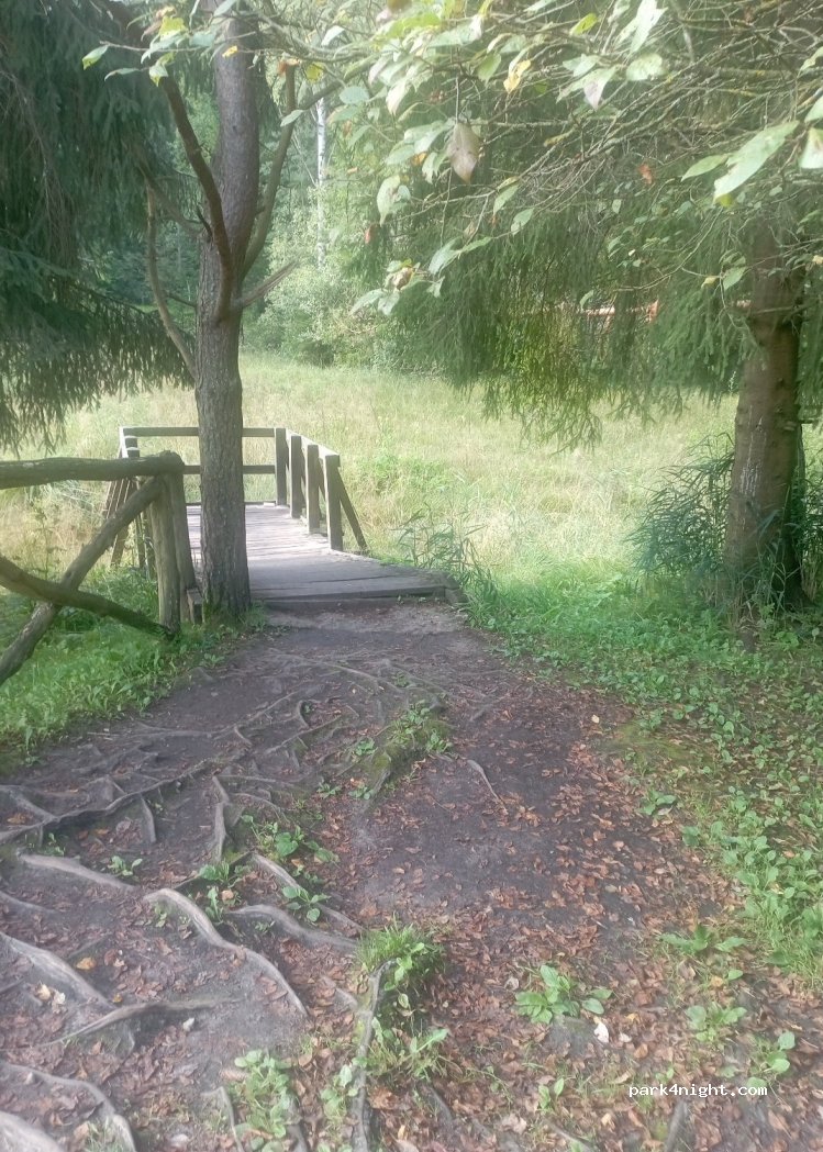 (86381) Svilė - — foto 3