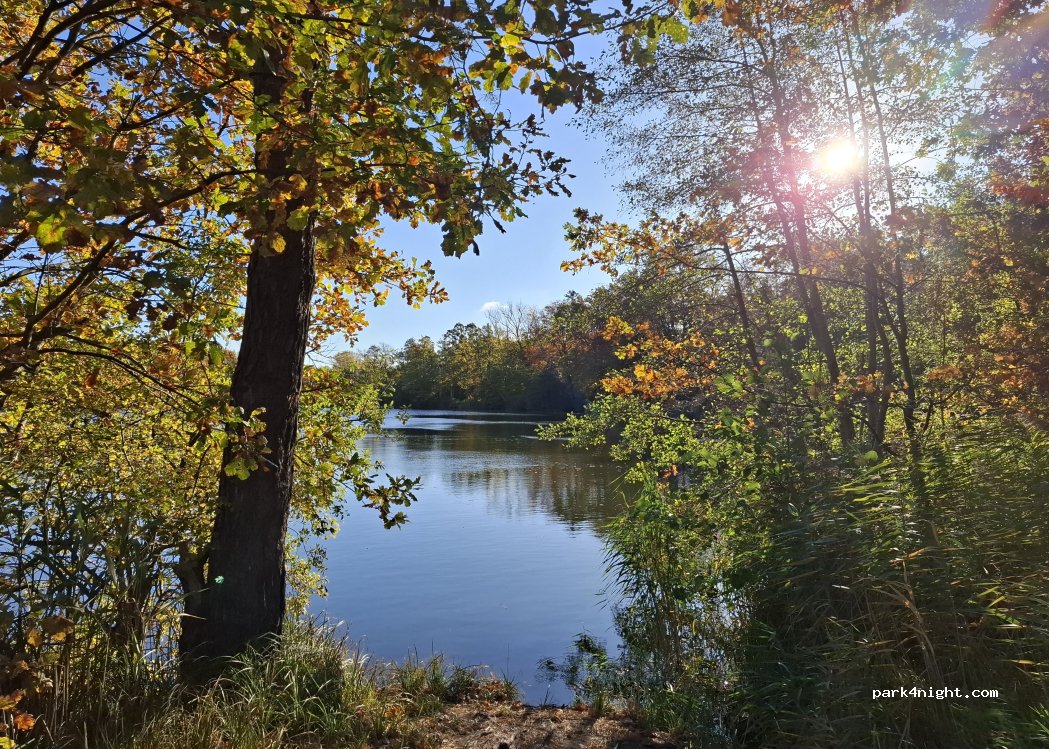 (14797) Brandenburg - — foto 3