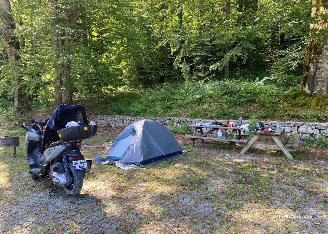 Ayıkayası Tabiat Parkı — foto 2