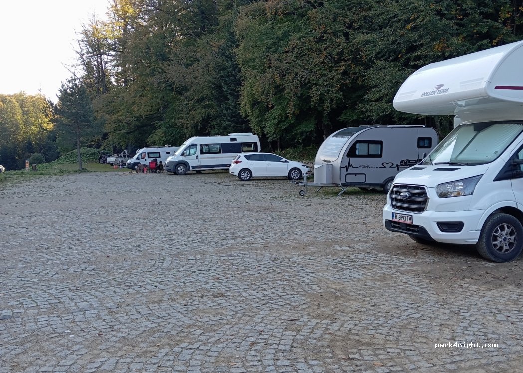 Ayıkayası Tabiat Parkı — foto 4