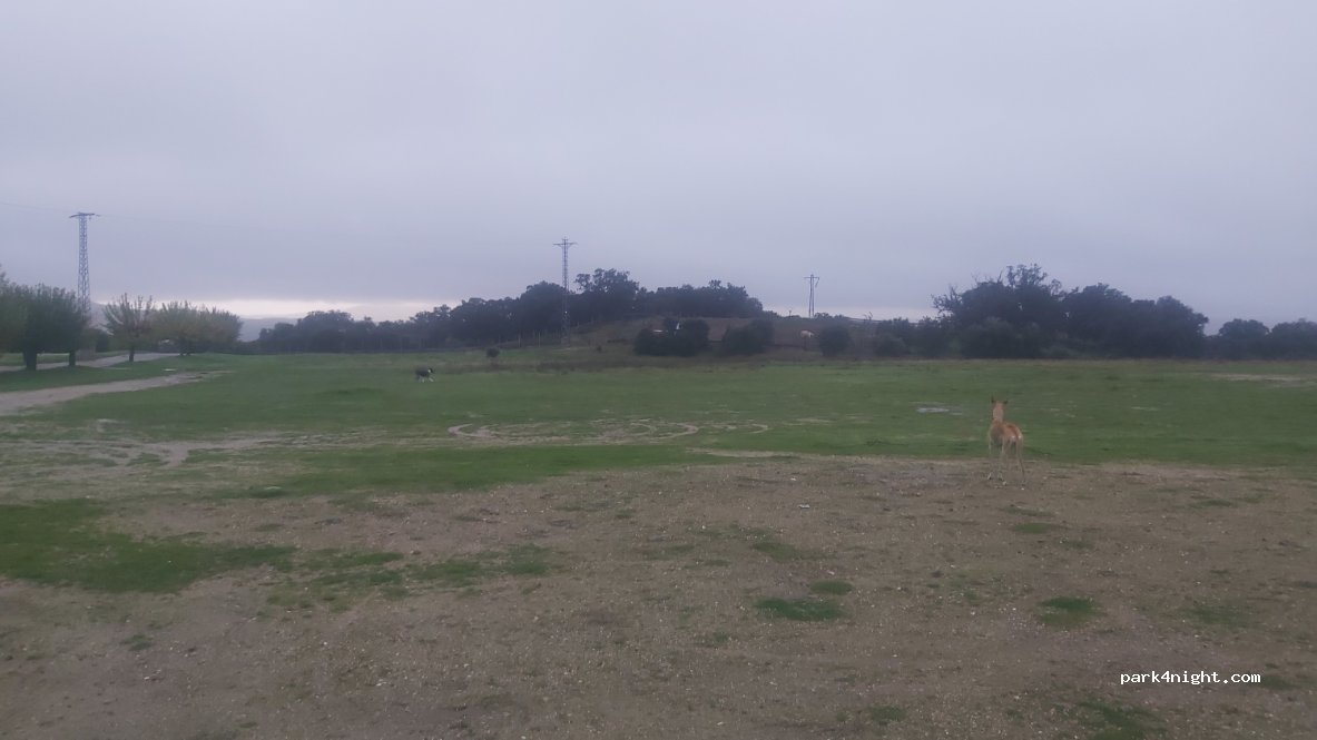 (05450) Casavieja - 3 Conjunto S1/ Cm Campo de Futbol — foto