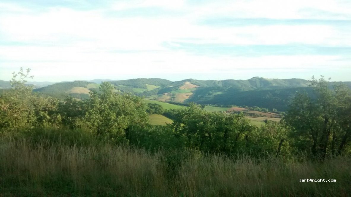 (12400) Saint-Affrique - D54 — foto 3