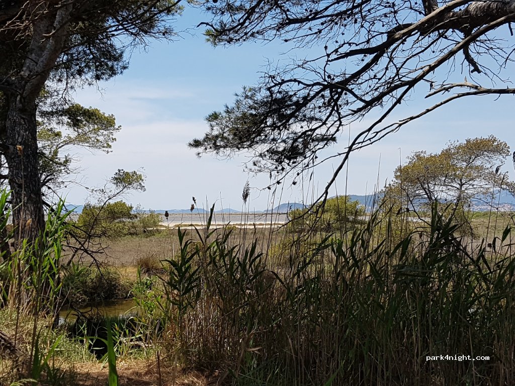 (83400) Hyères - 3006-3372 Route de Giens — foto