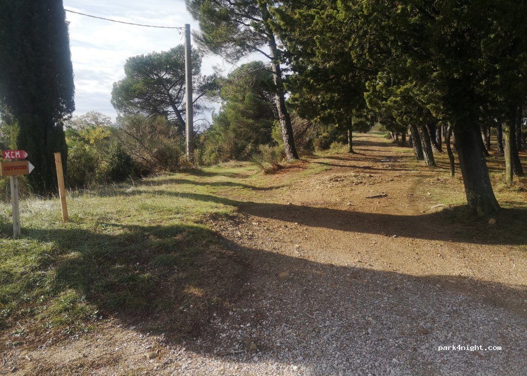 (06065) Passignano sul Trasimeno - — foto