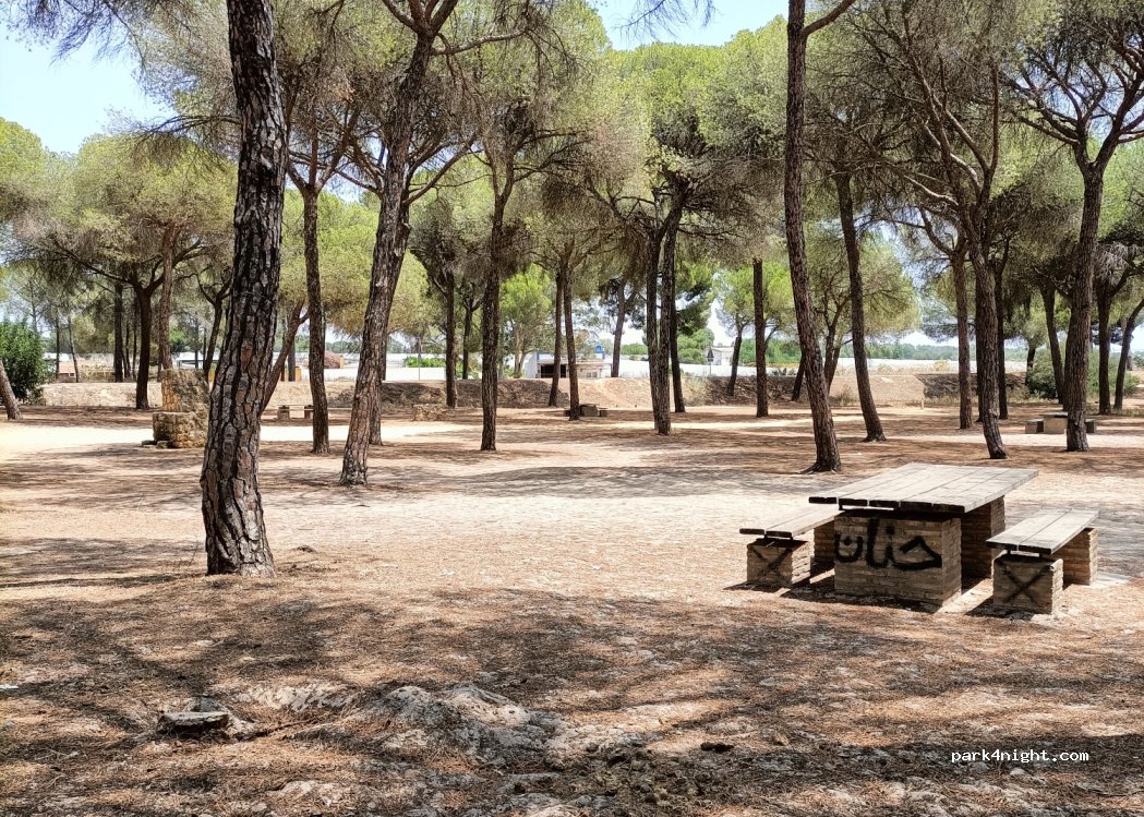 (21830) Bonares - 19 Diseminado el Corchito — foto