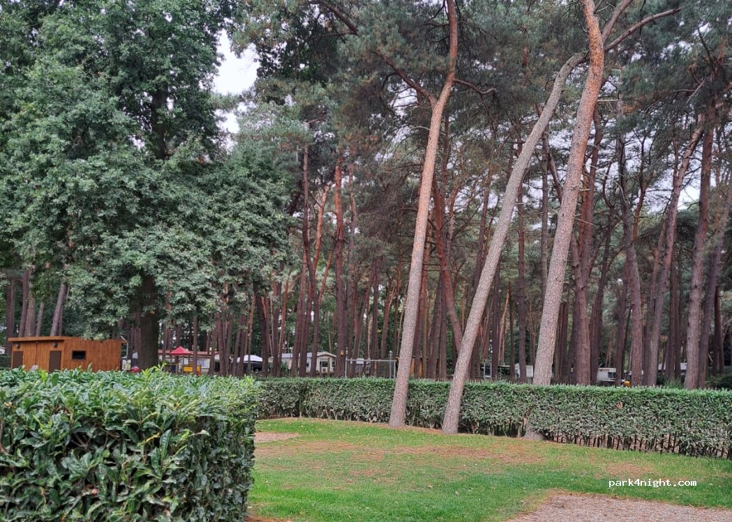 Family park Goolderheide — foto 3