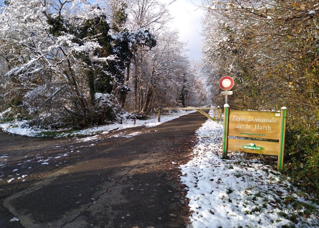 (68870) Bartenheim - Unnamed road — foto