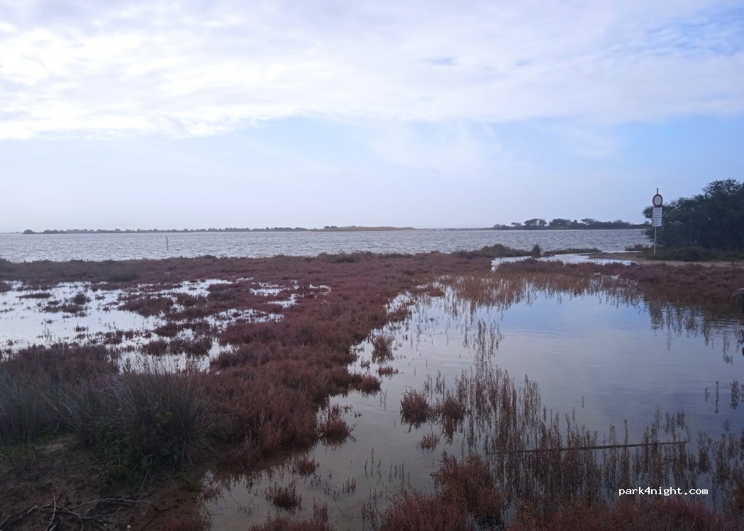(09010) Portoscuso - Unnamed Road — foto 2