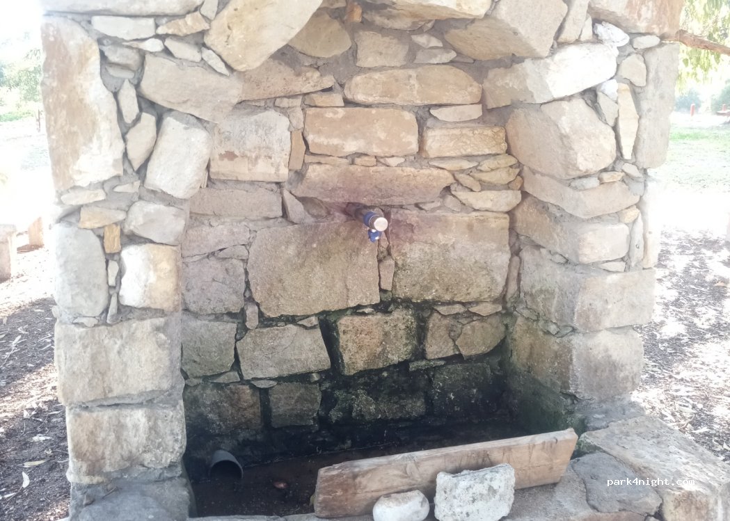 Timi - E603 — foto