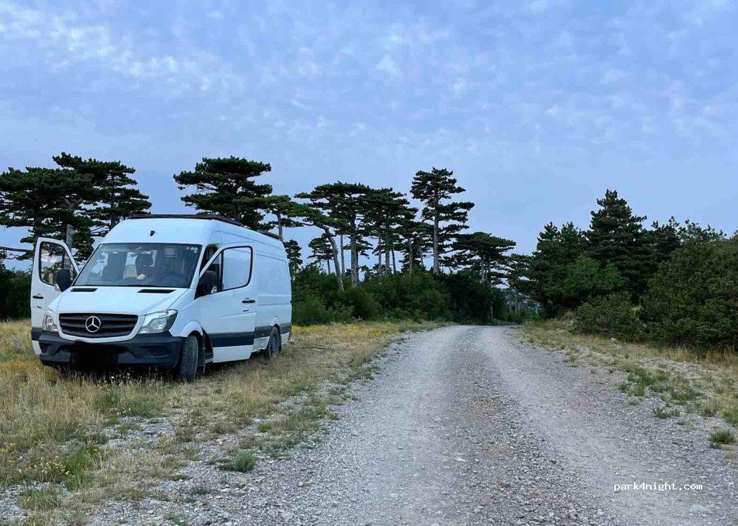 (53284) Biljevine - — foto