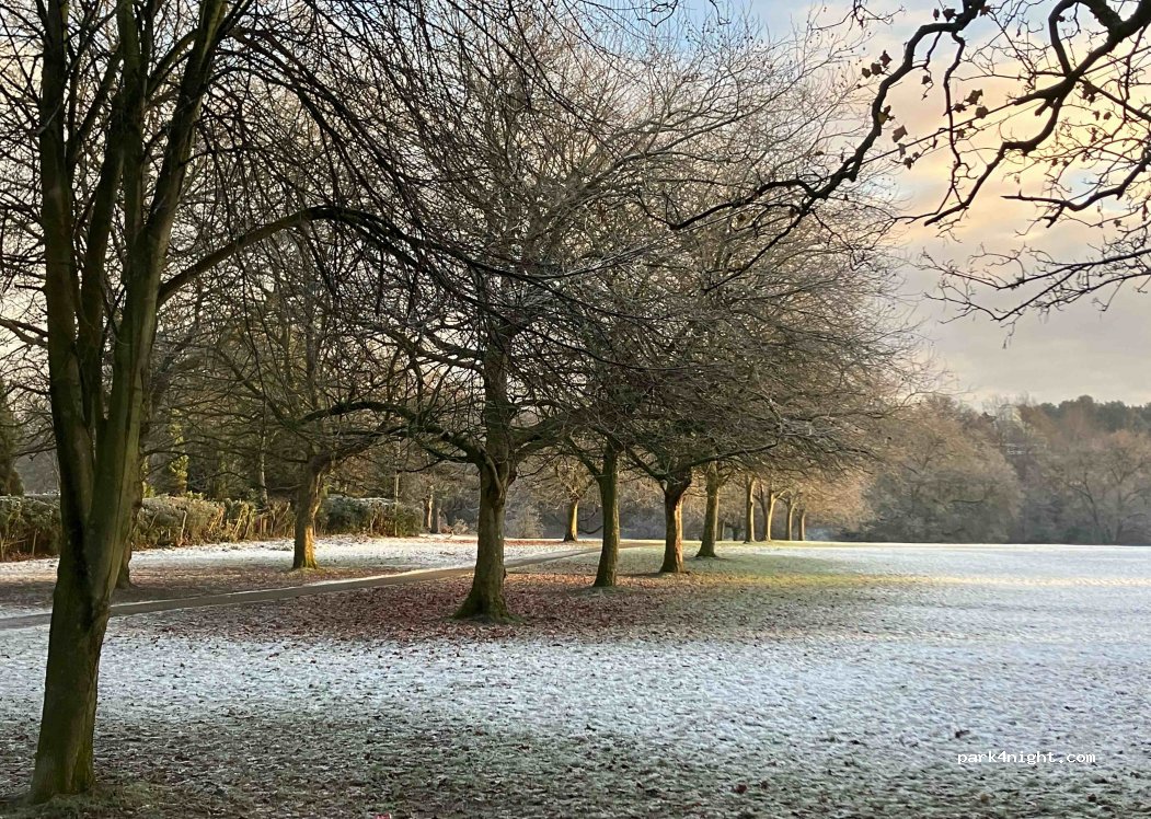 (L17 4JG) Liverpool - 18 Aigburth Drive — foto