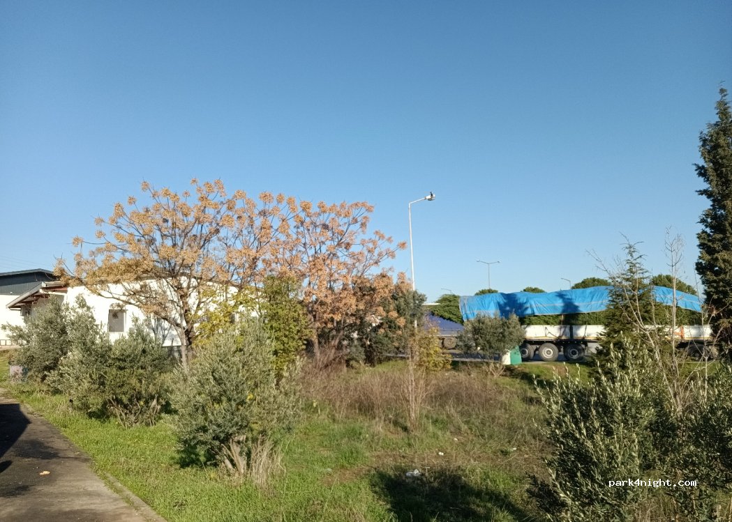 ()  - — foto 2