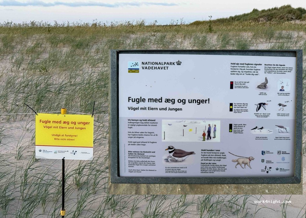 (6792) Rømø - Sønderstrandvej — foto 4