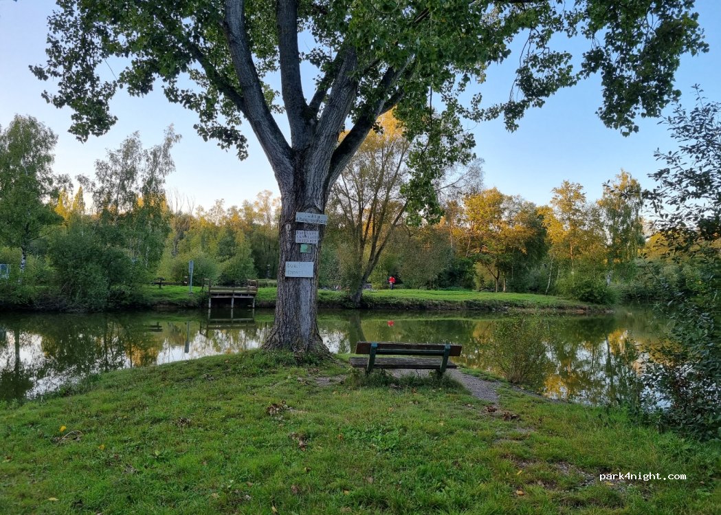(62575) Heuringhem - 380 Les Bruyères — foto 3