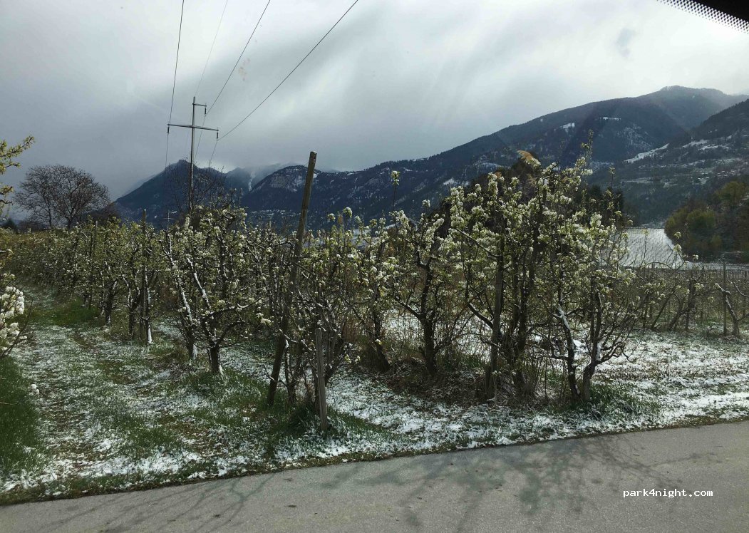(3977) Sierre - 15 Chemin de la Pinède — foto 4