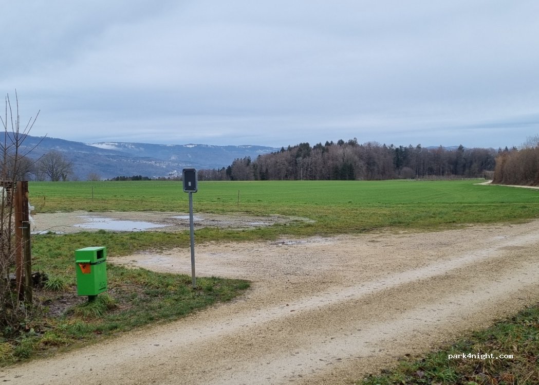 (2572) Mörigen - Im Ried — foto 2
