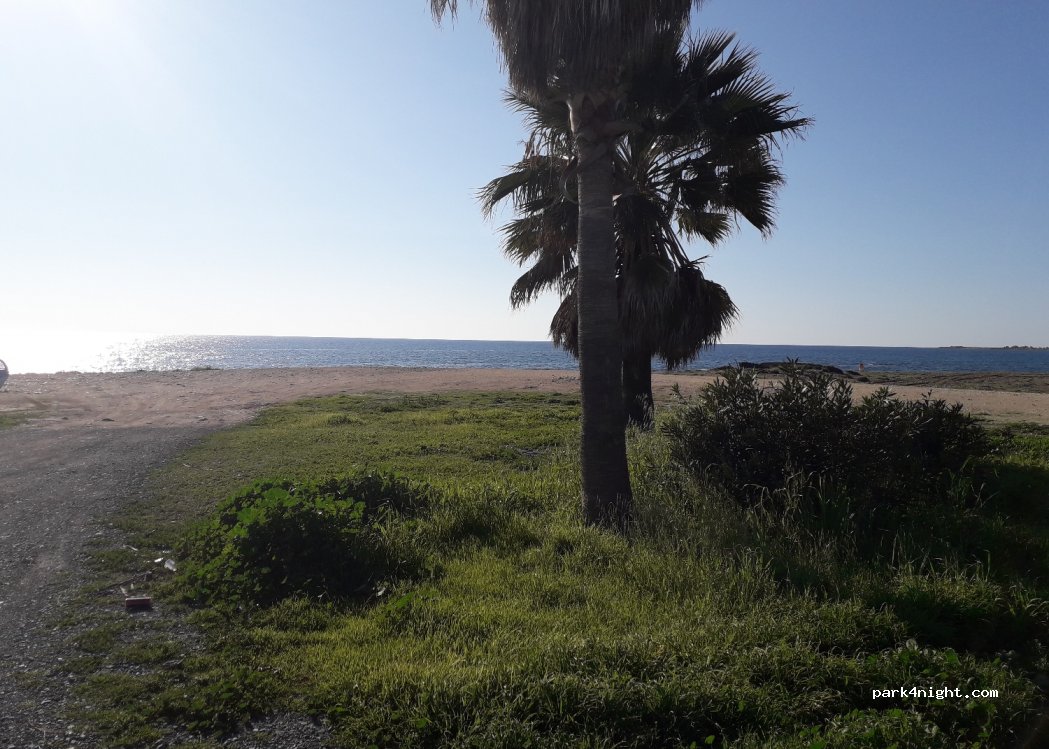 Mandria - Unnamed Road — foto