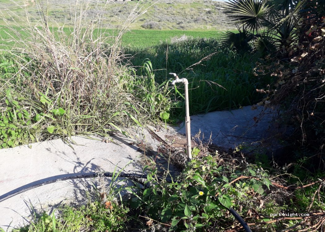 Mandria - Unnamed Road — foto 2