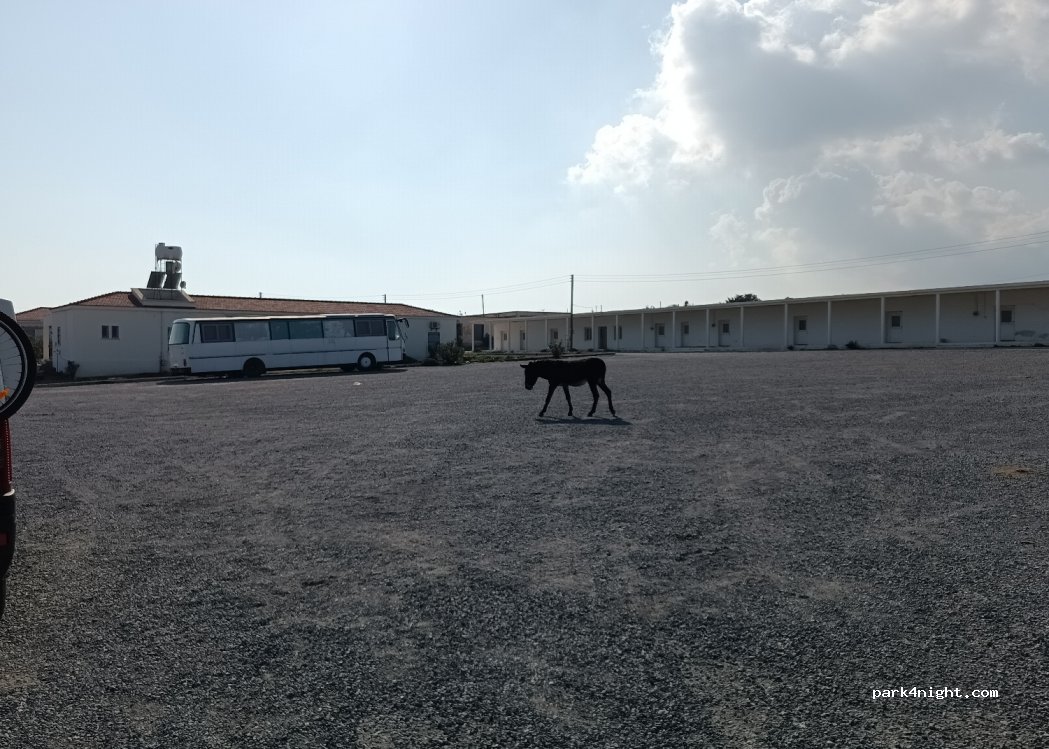 Dipkarpaz - Karpaz Anayolu — foto