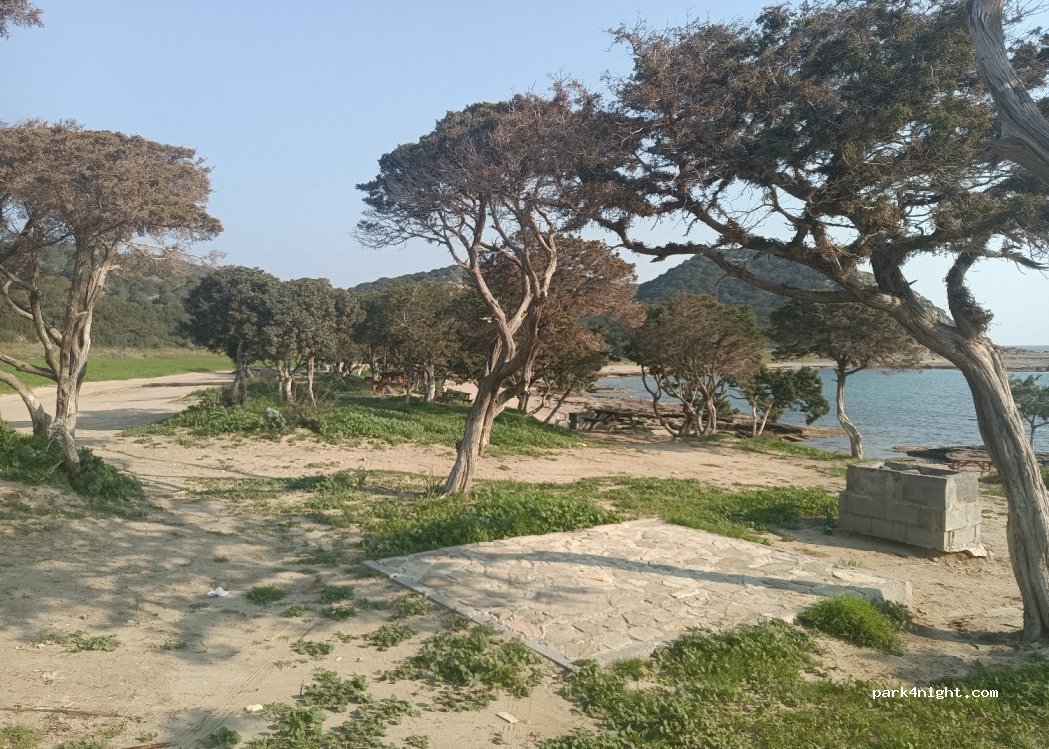 Dipkarpaz - Karpaz Anayolu — foto
