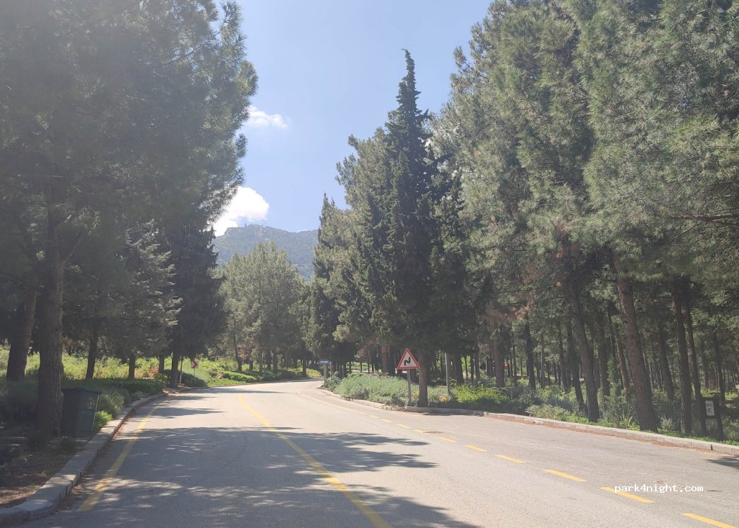 (20160) Pamukkale - Denizli Kent Ormani — foto 4
