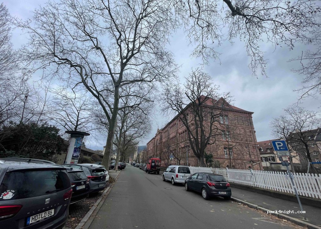 (69115) Heidelberg - 4 Vangerowstraße — foto