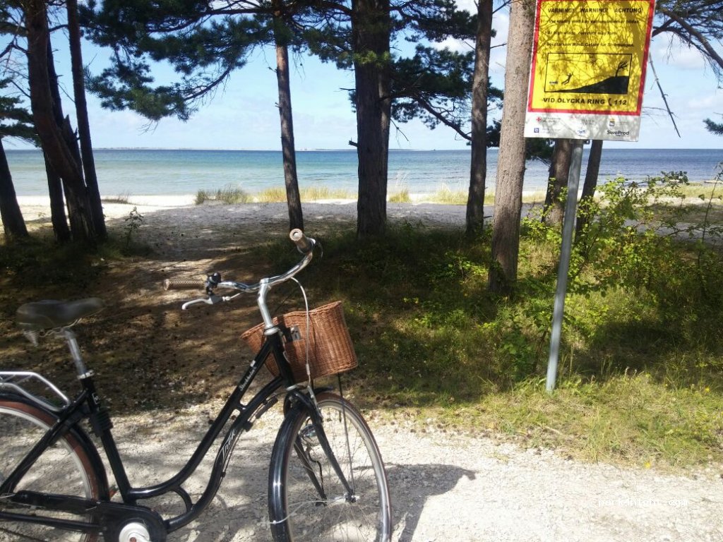 (624 67) Fårö - 702 — foto