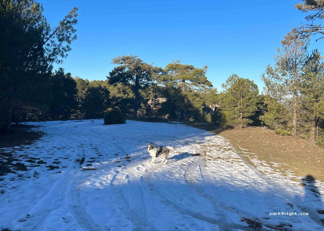 (16146) Valdecabras - — foto 2
