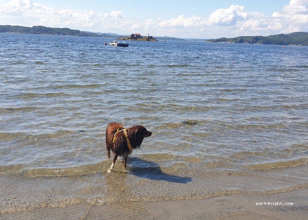 Blokkebukta Camping, — foto
