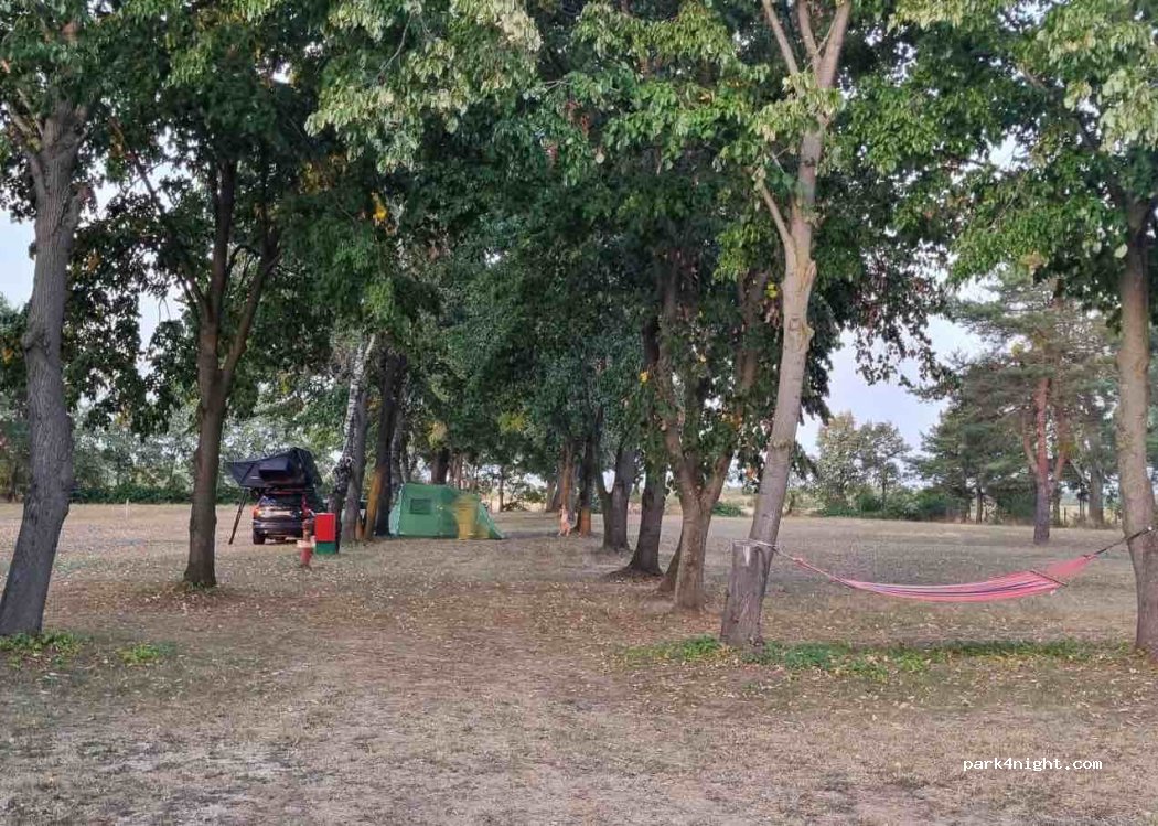 Sunshine Race Camp — foto 5