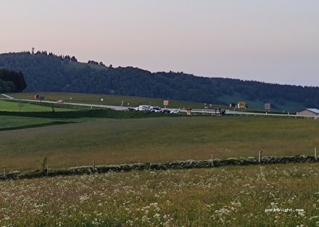 (79244) Münstertal - L124 — foto 4