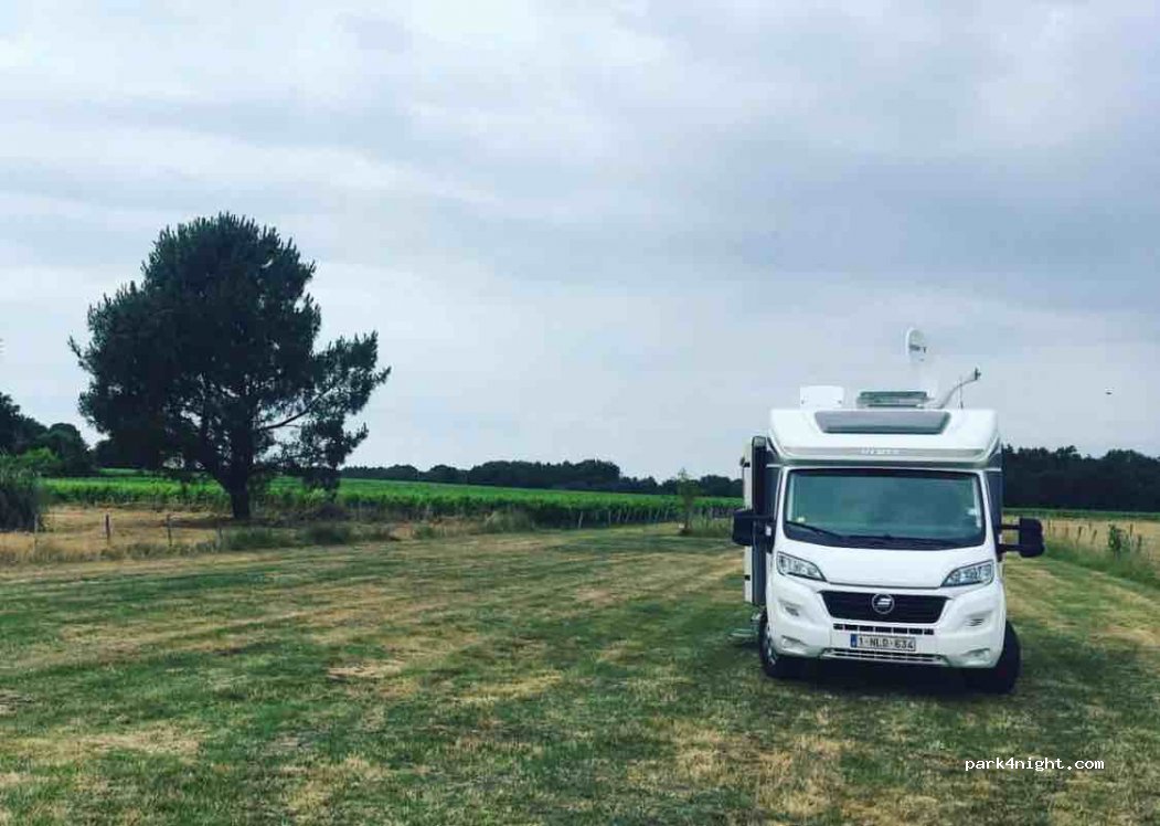 Soc Civile Agricole Chateau Noaillac — foto