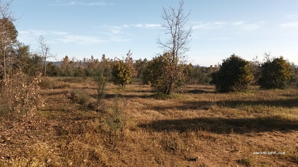 geoSpot — foto 2