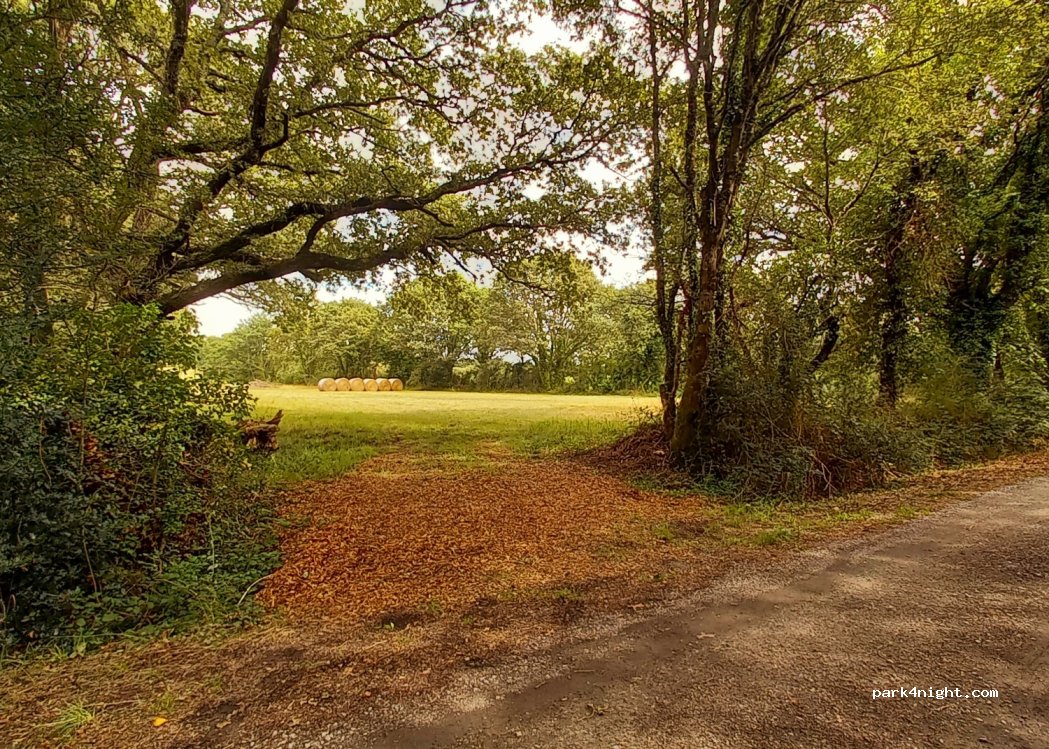(44410) ASSERAC - Les landes du bourg — foto