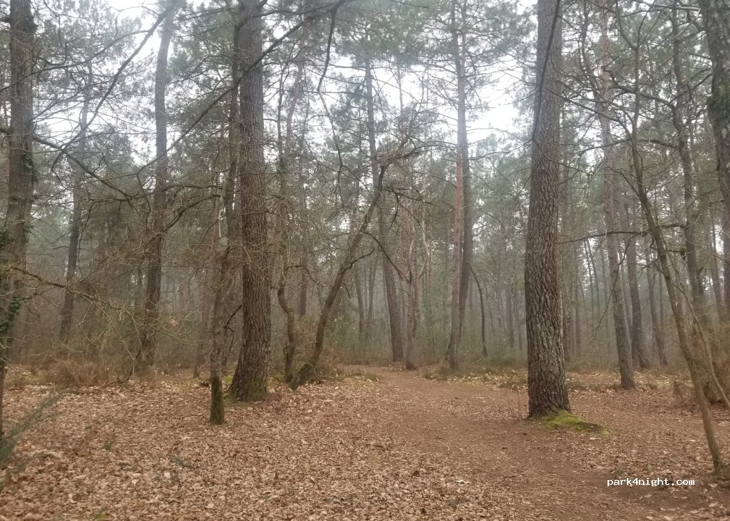 (72560) Changé - 540 Chemin aux Bœufs — foto 2