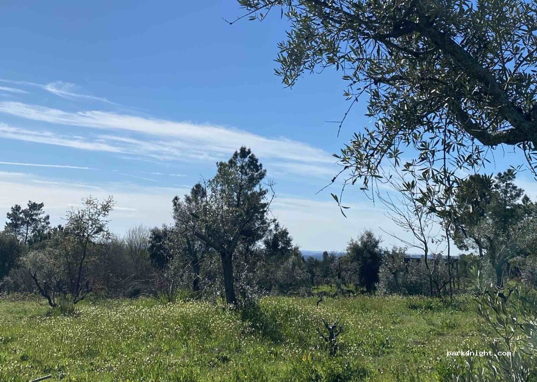 Quinta do Vale Verde — foto 3