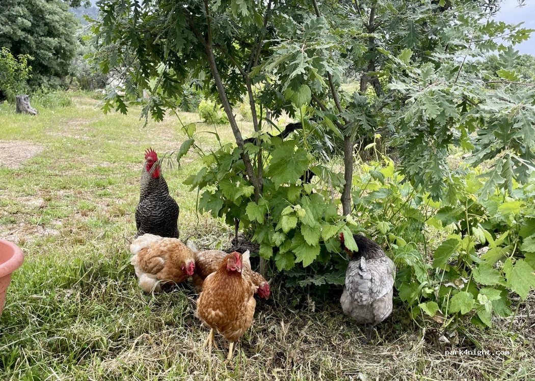Quinta do Vale Verde — foto 4