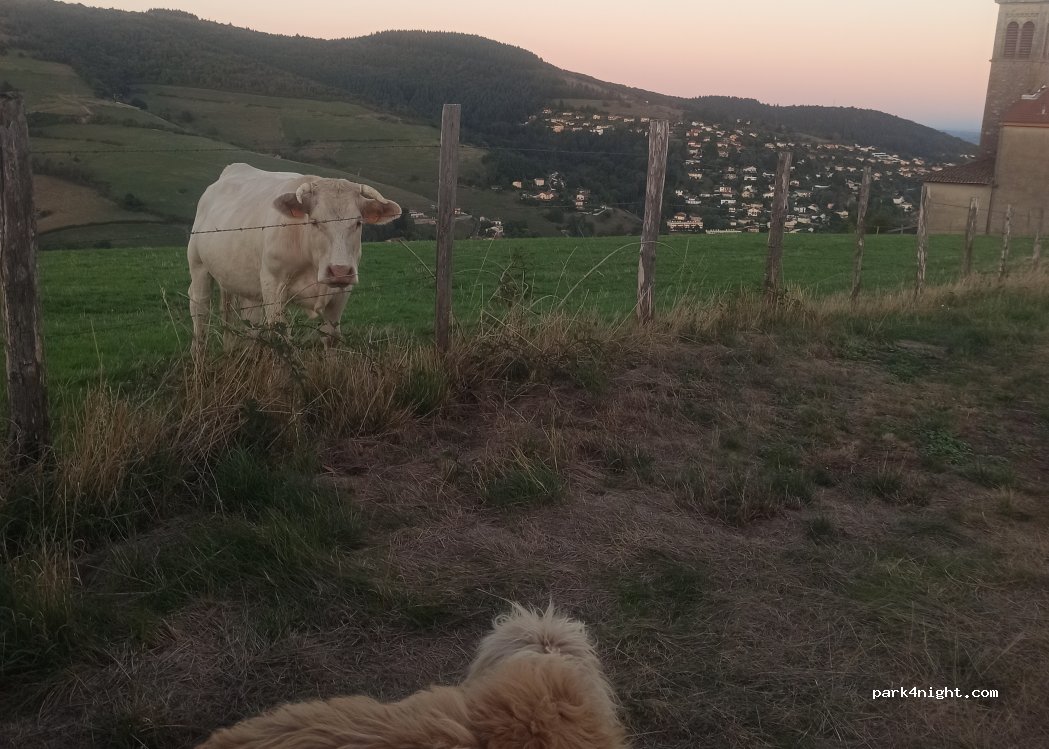 (69170) Tarare - Chemin Bel air — foto 4