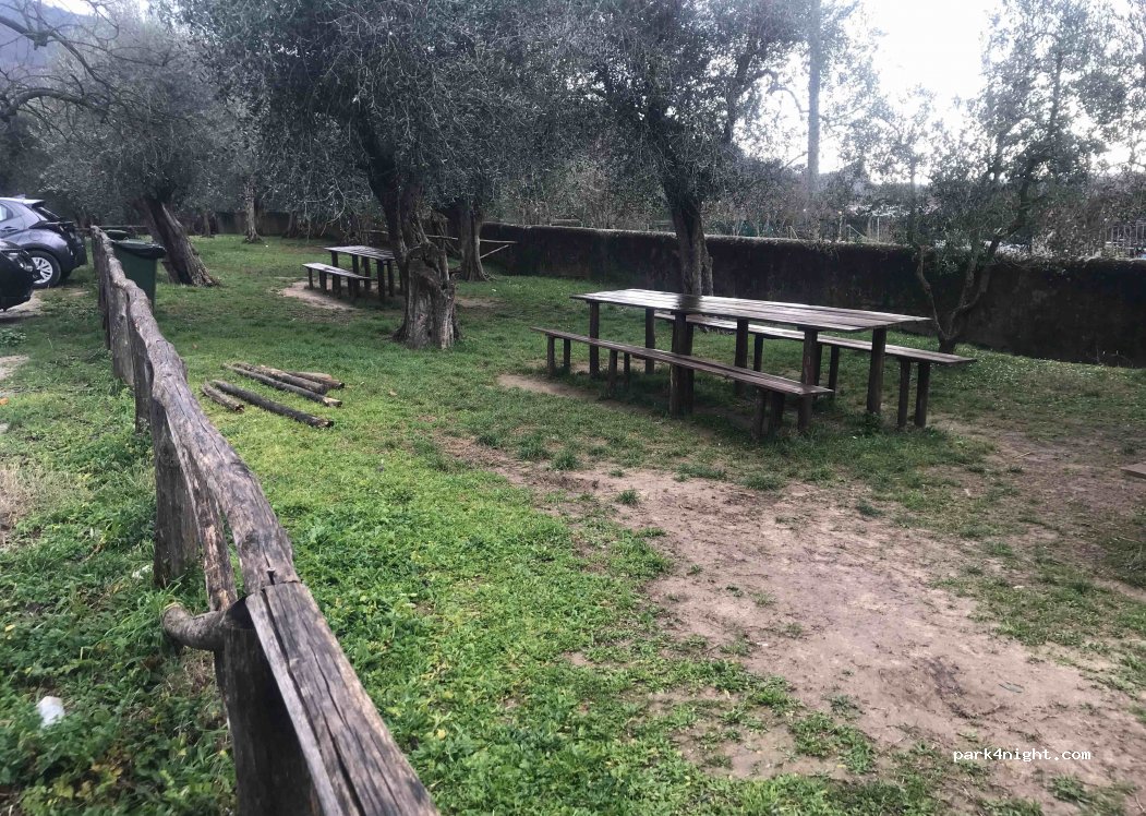 (56011) Calci - 7 Via Roma — foto 3