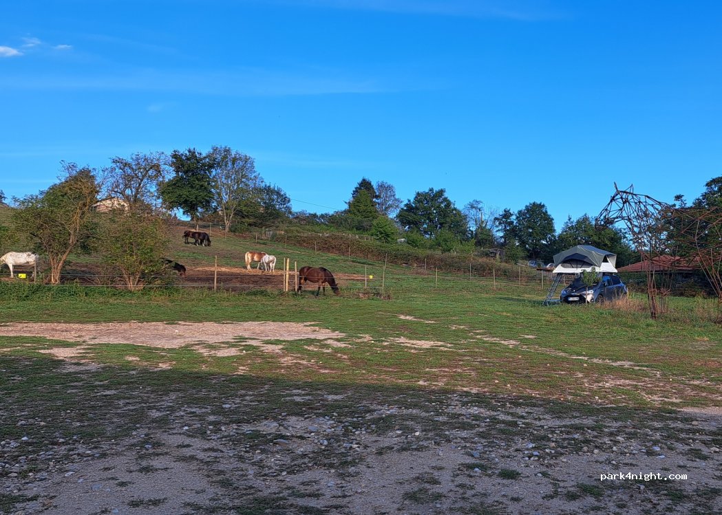 Centre équestre PONY RUN-RUN — foto 4