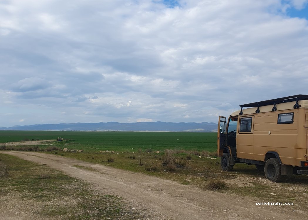(45320) Tekelioğlu - — foto