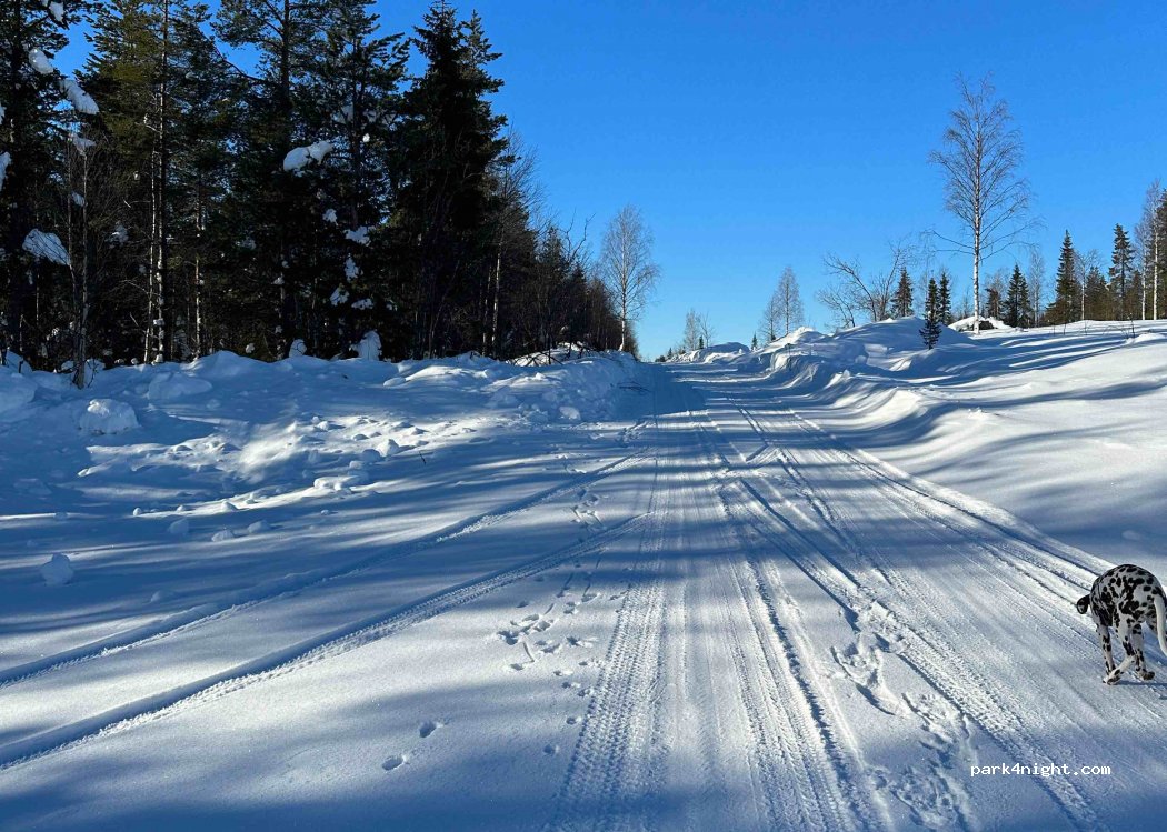 (99120) Vesikkovaara - — foto