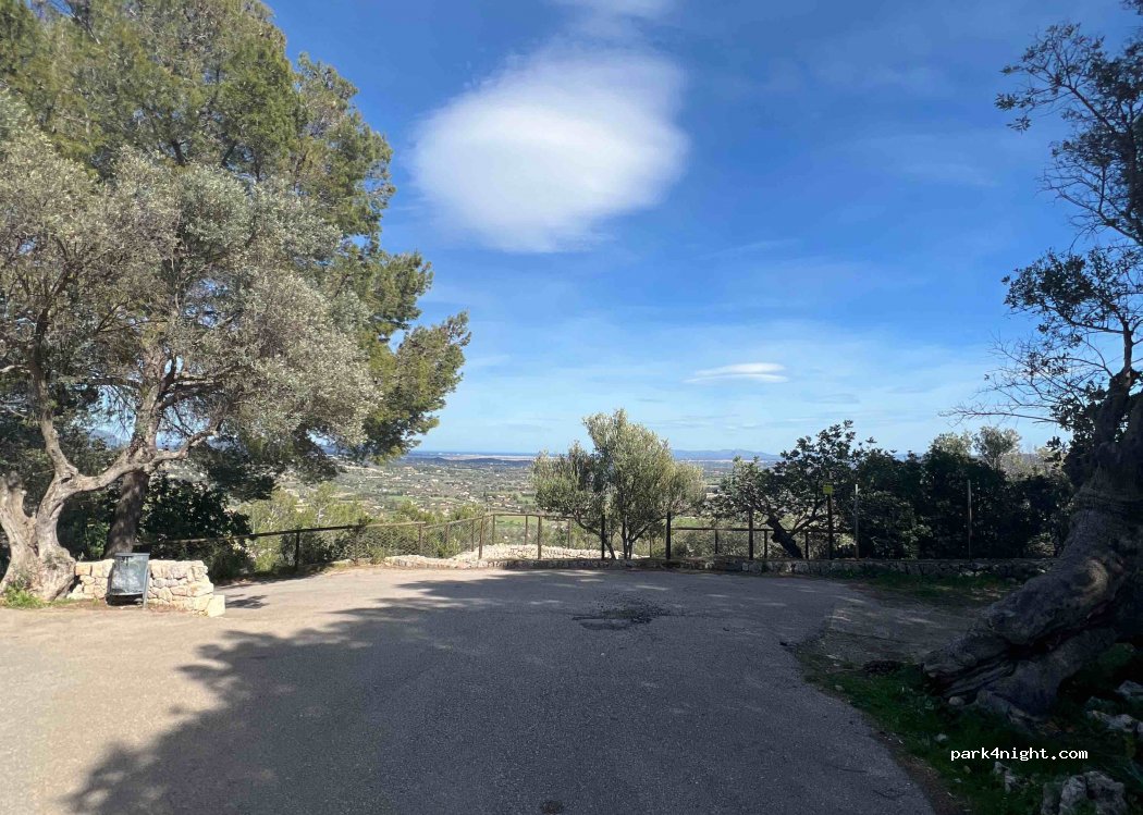 (07313) Selva - Unnamed Road — foto